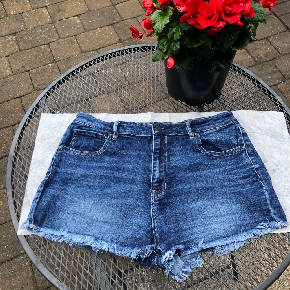 PACSUN | High Rise Shorts